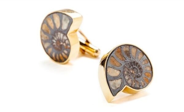 Fossilised Ammonite Cufflinks