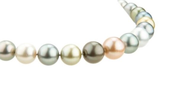 Multi-Coloured South Sea Pearl Strand